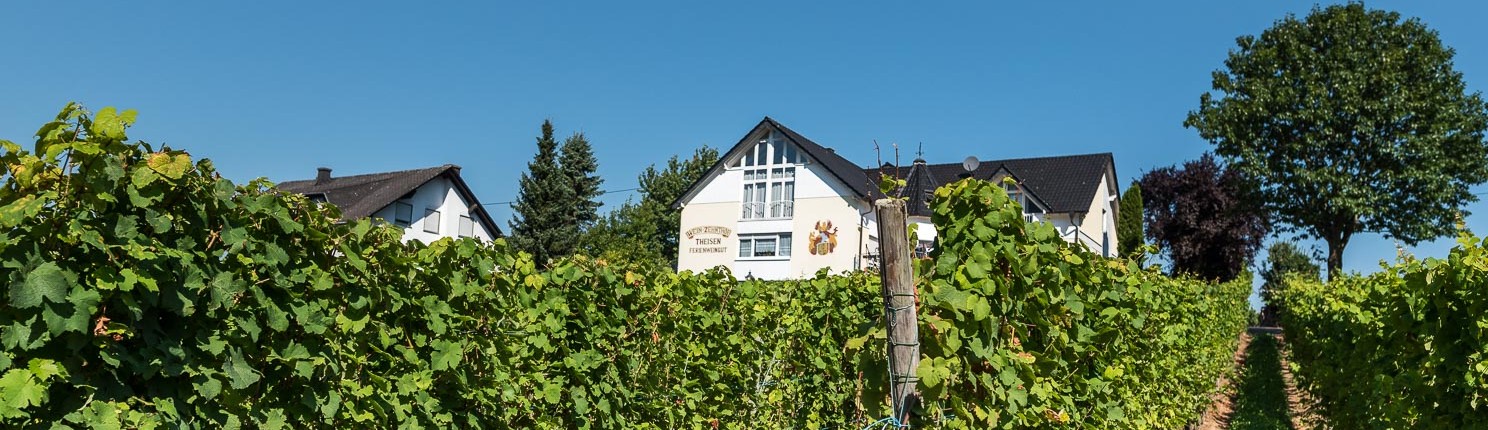 Weingut Ferienweingut Zehnthof Theisen