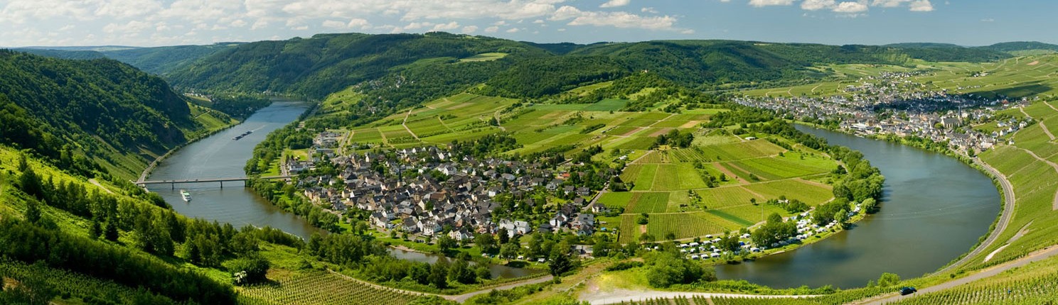 Ferienweingut Theisen