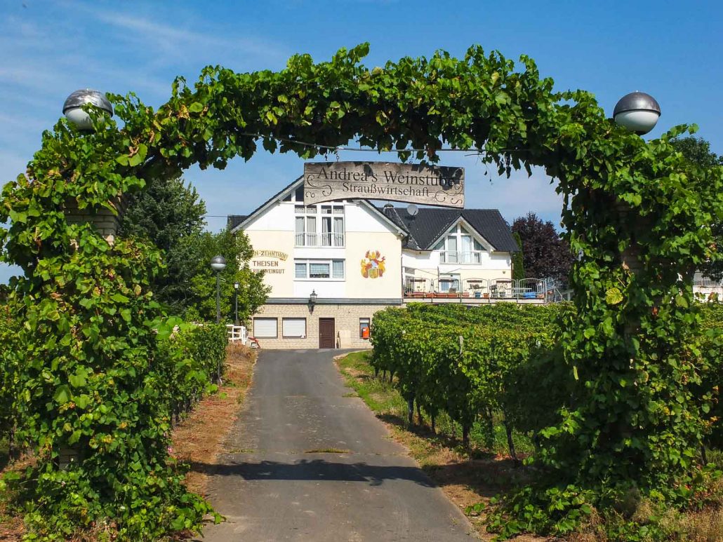 Weingut Ferienweingut Zehthof Theisen