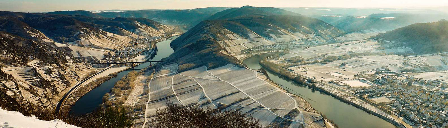 Ferienweingut Theisen